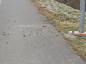 Vandalové v noci zdemolovali lampy na cyklostezce u Litovle. Město hledá svědky