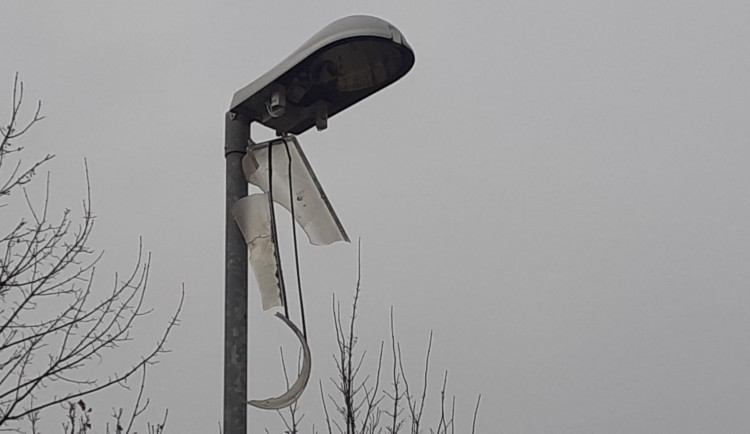 263928596_6995722557134652_3332254666197810690_n