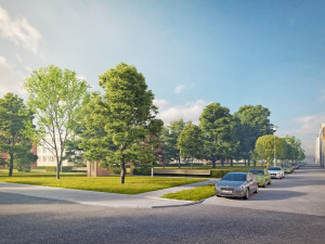 Na projekt rehabilitace zlikvidovaného židovského hřbitova Prostějov schválil 350 tisíc korun