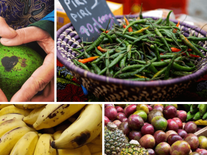 Exotické chutě z dalekých krajin míří do Olomouckého kraje