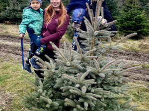 Plantáž vánočních stromů Bělecký mlýn na Prostějovsku