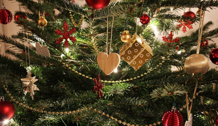 size3-size4-16401013596002-103-zivy-versus-umely-jaky-stromek-je-pro-prirodu-mensi-zlo