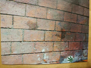 Konopný léčitel Dušan Dvořák tráví ve vězení již třetí Vánoce. Naději neztrácí