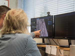 Olomoucký tomograf pomáhá restaurátorům. Zkoumal i ostatky Jana Sarkandra