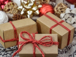 Zloděj pokazil rodině z Olomouce Vánoce. Ze sklepa ukradl dárky včetně plyšáka