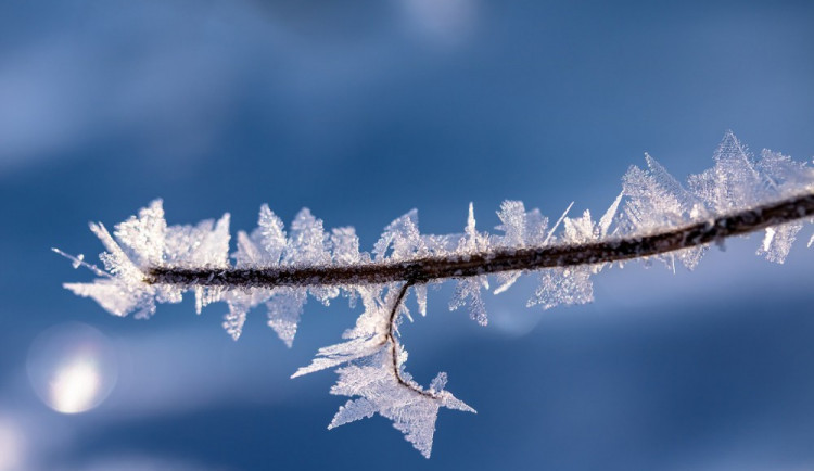 size3-1584959551394-231-ranni-mraz-trhal-rekordy-v-plzenskem-kraji-u-hojsovy-straze-namerili-minus-198-stupne