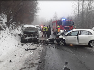 Hasiči měli v Olomoucké kraji přes Vánoce na pilno. Zachraňovali i labuť nebo hasili saunu