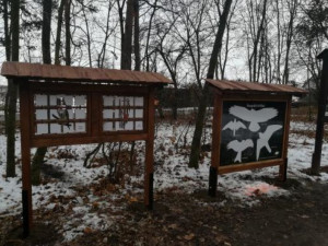 Petice nesouhlasí s bytovou výstavbou u lesoparku Houčela. Odpůrci plánují protestní pochod
