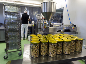 Výroba potravinářských produktů z ořechů v Olomouci