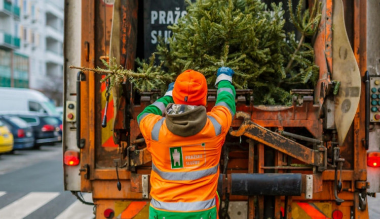 size3-16405567723433-60-balici-papir-do-trideneho-odpadu-stromecek-k-popelnicim-kam-s-vanocnimi-odpadky