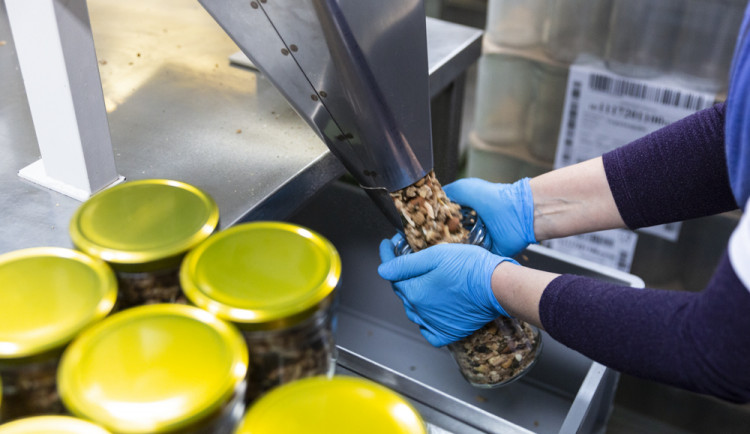 Výroba potravinářských produktů z ořechů v Olomouci