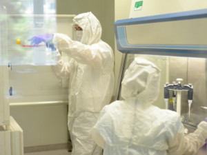 Laboratoř potvrdila první nákazu variantou omikron v kraji. Hygienici čekají na další výsledky