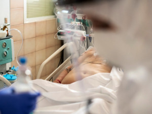 V nemocnicích v Olomouckém kraji je méně pacientů s covidem, roste však počet případů varianty omikron