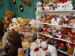 Sběratelka má plyšovými medvědy zateplenou půdu. Nyní je vystavuje v Hranicích