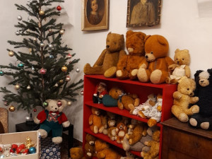 Sběratelka má plyšovými medvědy zateplenou půdu. Nyní je vystavuje v Hranicích