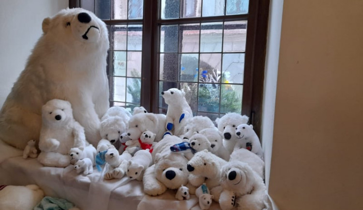 264458146-1226164284557965-88939234849873419-n