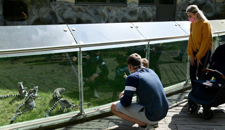 Zoologická zahrada Olomouc se loni otevřela návštěvníkům až v dubnu