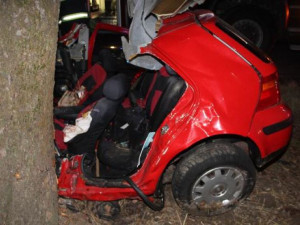 Mladý řidič nepřežil u Dlouhé Loučky náraz do stromu. Při předjíždění dostal smysk