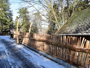 Olomoucká zoo zvelebila jeden z nejoblíbenějších výběhů. Apeluje i na správné chování ke kozám