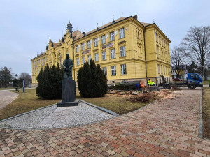 Kácení buku lesního u Gymnázia Jana Opletala v Litovli