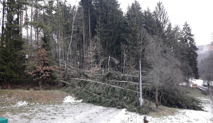 Lesníci zjišťují škody po vichřici. V okolí Mírova padlo deset tisíc kubíků dřeva