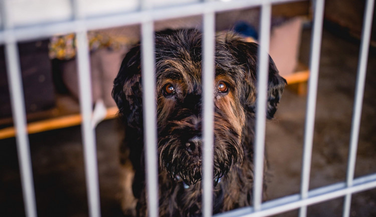 C147371E-1593-4A70-8092-D326A5AE5E7F