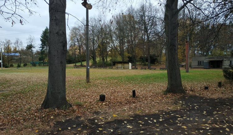 Kvůli dostavbě D1 u Přerova se musí kácet. Silničáři ovšem nemají místo pro náhradní výsadbu