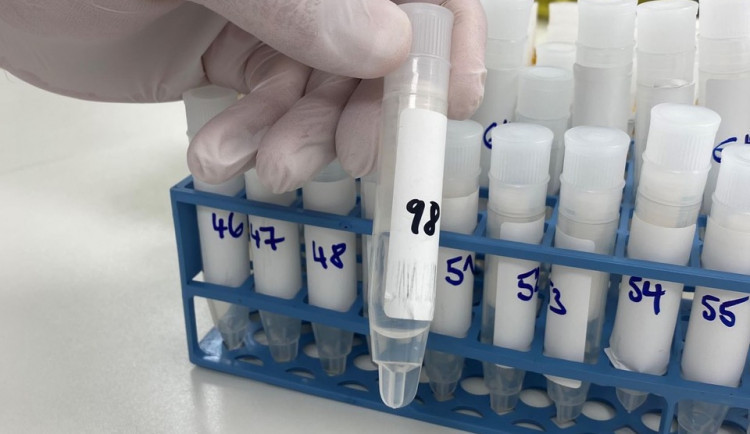 size3-16195169296278-60-soukrome-skoly-testuji-zvykanim