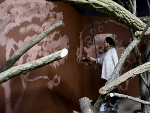 Ve dne noc a naopak. Pavilon netopýrů v Zoo Olomouc prochází rekonstrukcí