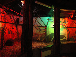 Ve dne noc a naopak. Pavilon netopýrů v Zoo Olomouc prochází rekonstrukcí