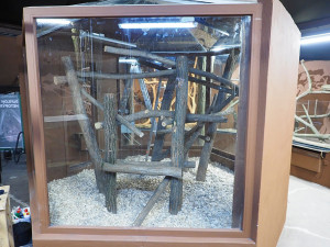 Ve dne noc a naopak. Pavilon netopýrů v Zoo Olomouc prochází rekonstrukcí