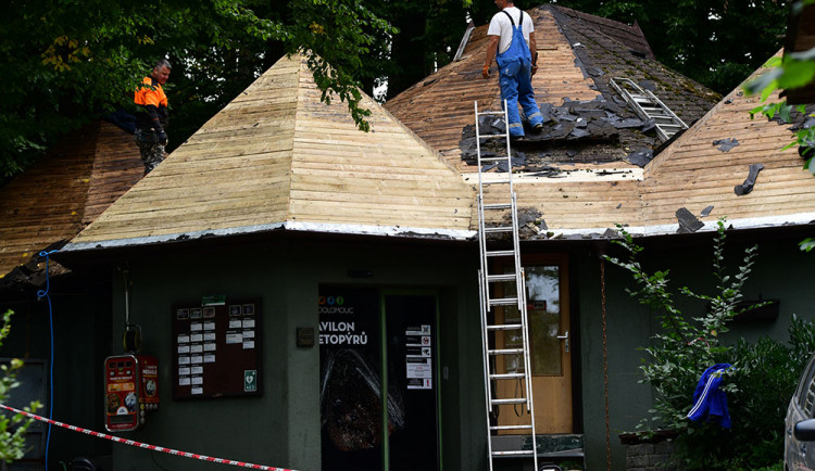 Pavilon netopýrů a nočních živočichů v olomoucké zoo bude mít modernější podobu