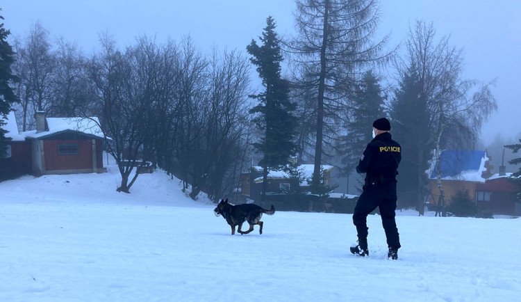 Policejní souhrn roku: Kyberkriminalita v kraji rostla, celkově trestných činů ubylo