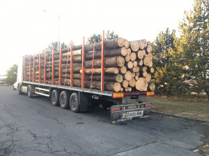Cizinec odmítl najet s náklaďákem na váhu, raději na místě zaplatil sto tisíc