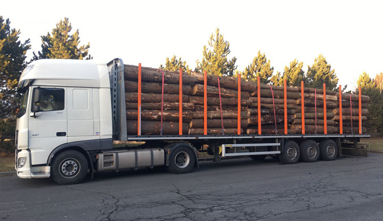 Policisté chtěli na váze ověřit, zda není kamion přetížený. Řidič tento úkon odmítl