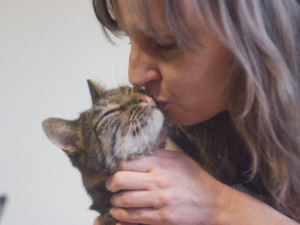 (NE)OBYČEJNÍ: Dobrovolníci z Prostějova pomáhají toulavým kočkám už pět let. Nezaslouží si trpět, říkají