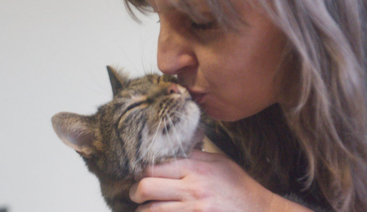 (NE)OBYČEJNÍ: Žena z Prostějova pomáhá toulavým kočkám už pět let. Zvířata si nezaslouží trpět, říká