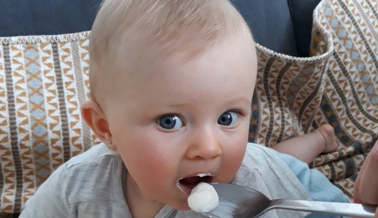 size4-16445753673697-2-lipanek-je-jako-jediny-bez-skrobu-dusiku-zelatiny-a-xanthanu