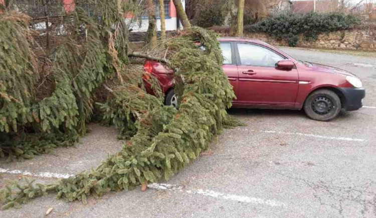 Kvůli silnému větru Prostějov ve čtvrtek uzavře hřbitov vstupy do parků a na Hloučelu