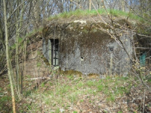 Zájemci si mohou koupit bunkry u Starého Města nebo v Adolfovicích