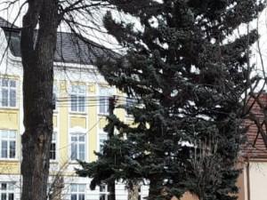 Hasiči v kraji vyjížděli k více než stovce zásahům kvůli silnému větru