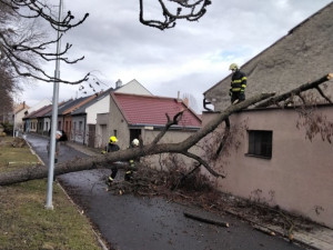 Přes sto zásahů kvůli větru. V Kralicích hasiči operativně káceli nahnutý strom u školy