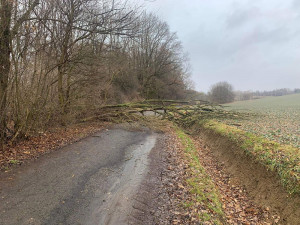 Hasiči v kraji vyjížděli k více než stovce zásahům kvůli silnému větru