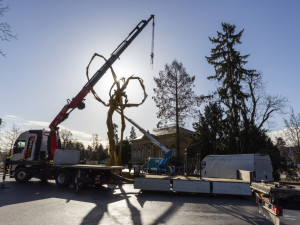 Ukončení instalace uměleckého díla s názvem Stvůra autora Jana Dostála v Rudolfově aleji