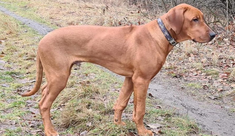 274180870_2096389360510206_6606529514080451403_n