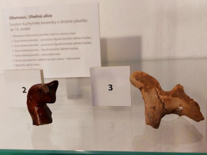 Ve věži olomoucké radnice bude ke shlédnutí výstava archeologických nálezů