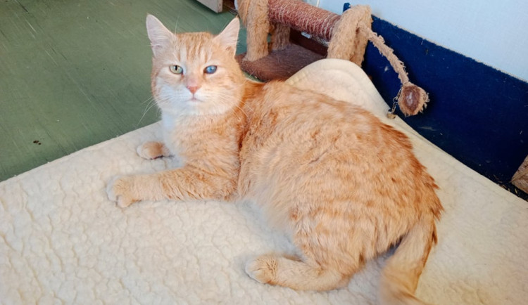 274306316_706332963880086_1150366205794316186_n