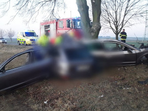 Po nárazu do stromu zemřel u Olšan dvacetiletý řidič