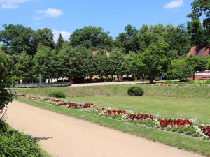 Už v pondělí začnou práce na zkrášlení městského parku Michalov. V plánu je vysadit přes 270 keřů