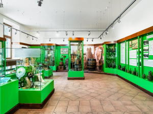 Nová expozice Pivovarského muzea Holba nabízí náhled do historie pivovaru nejen v Hanušovicích